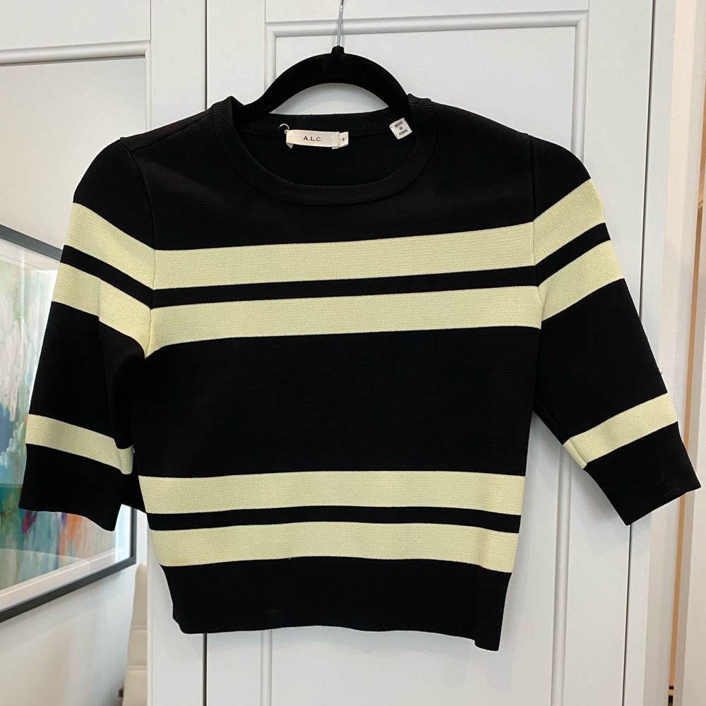 ALC Crop Top.
